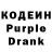 Кодеиновый сироп Lean Purple Drank Conscious Lasagne