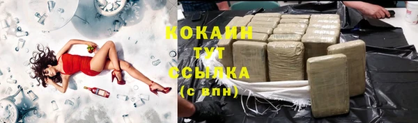 дживик Арсеньев