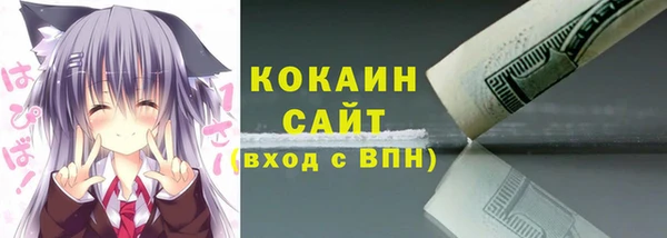 дживик Арсеньев