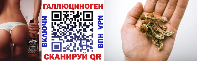 Купить где  Сосенский  Псилоцибиновые грибы ЛСД 