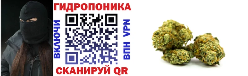 Каннабис план Сосенский
